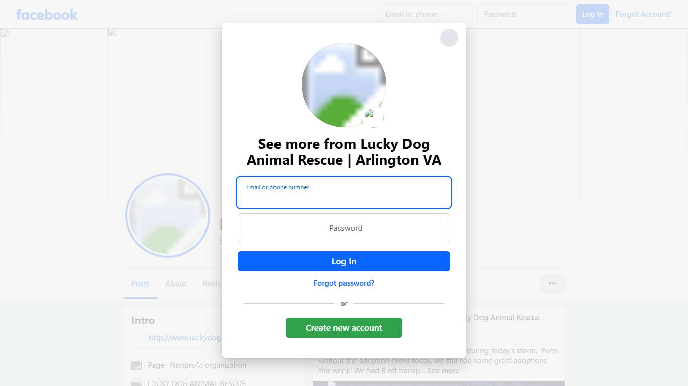 Lucky Dog Animal Rescue Arlington VA Facebook